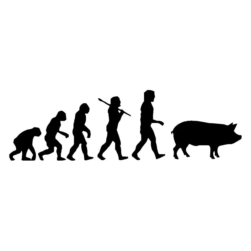 Evolution zum Schwein