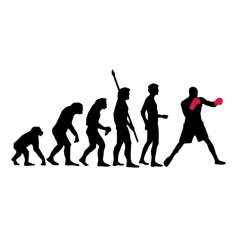 evolution_boxen_b_2c