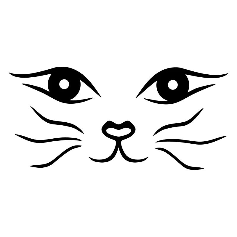 Chat / Cat face