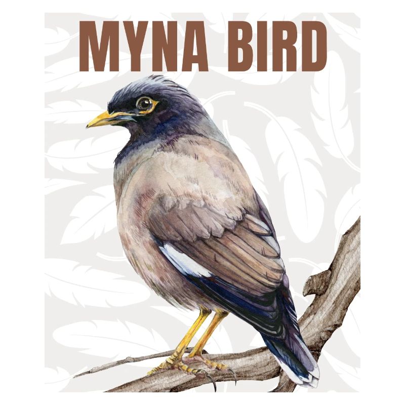 Myna Bird Collection – Eleganz trifft auf Ätherisches