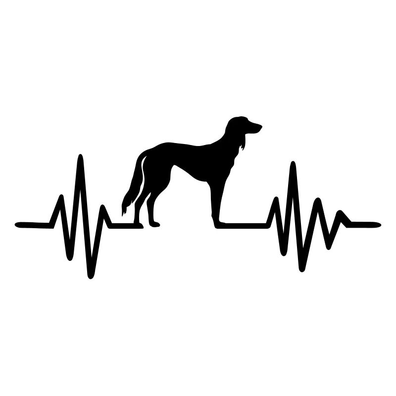 Saluki