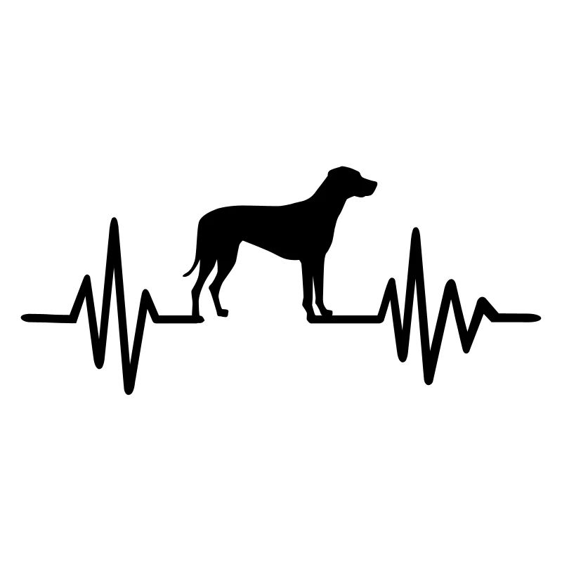 Rhodesian Ridgeback