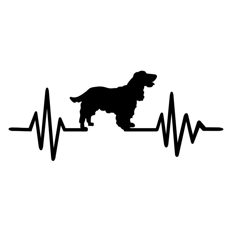 Cocker Spaniel