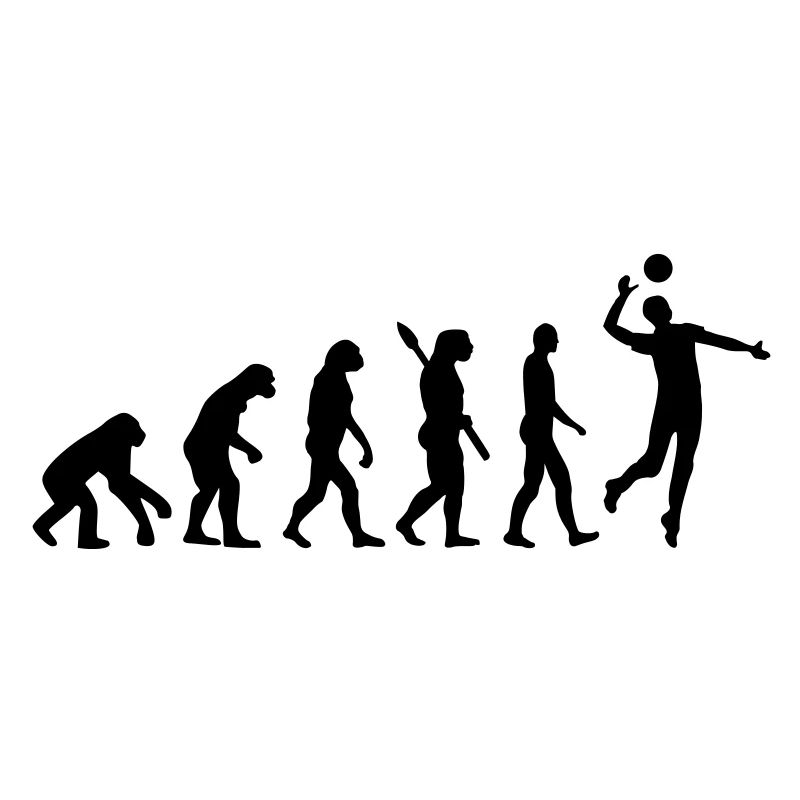 Evolution Volleyball
