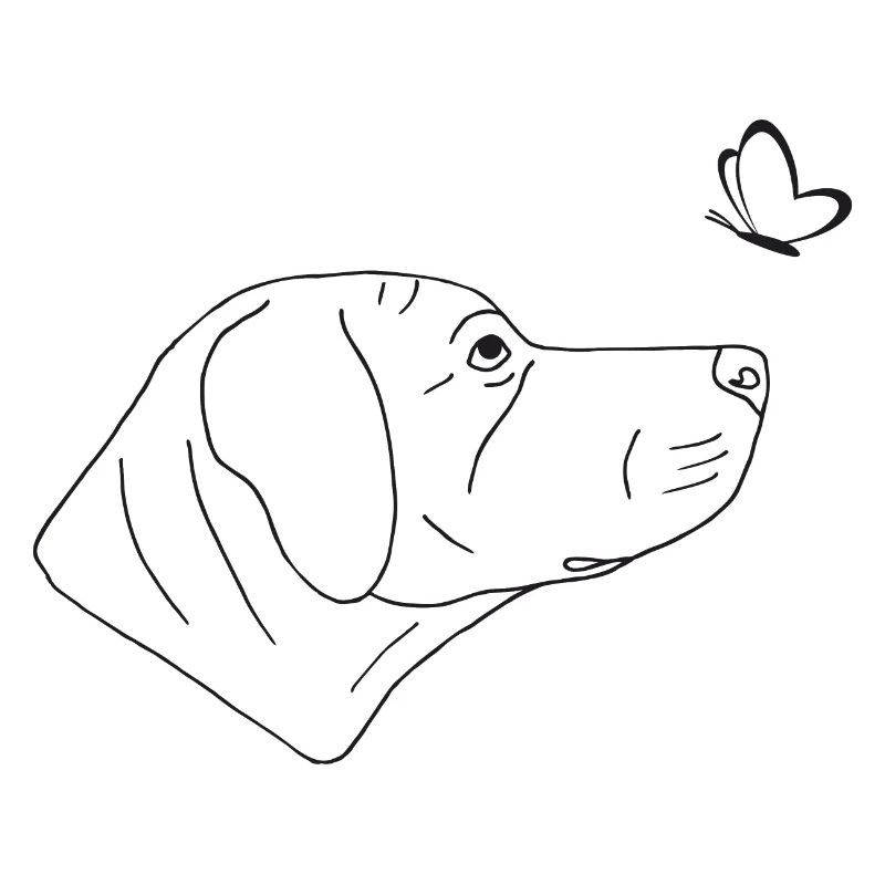 Rhodesian Ridgeback mit Schmetterling