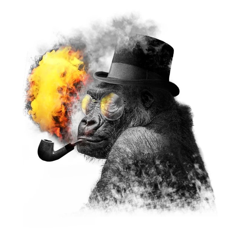 Smoking monkey