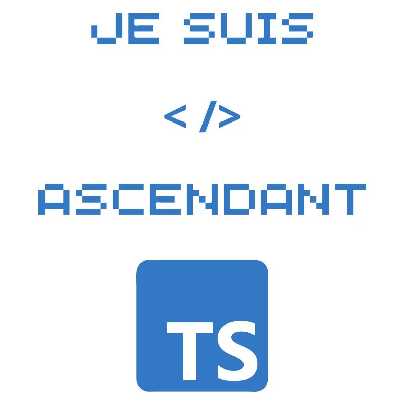 TS typescript developer gift