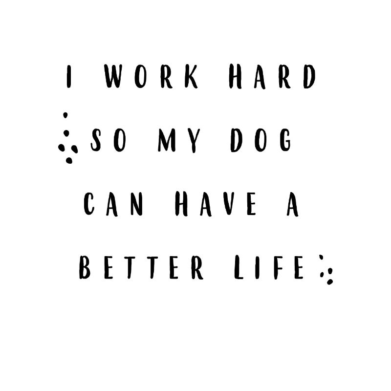 Everything for the dog