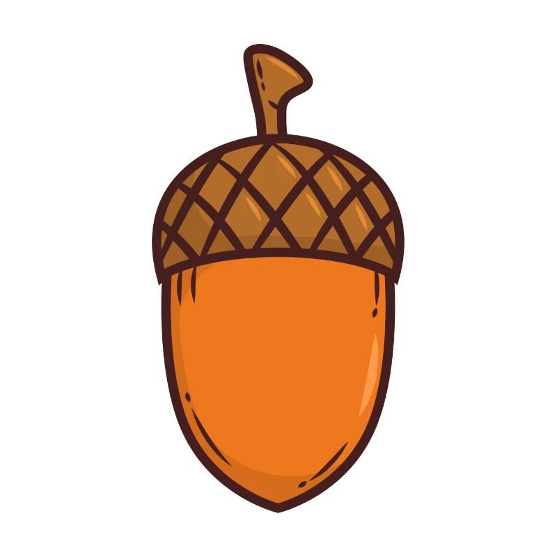 Eichel Eiche Baum