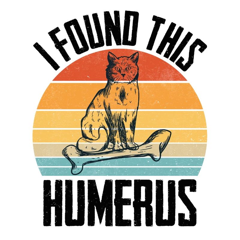 House Tiger Cat Upper Arm Bone Pet Humerus