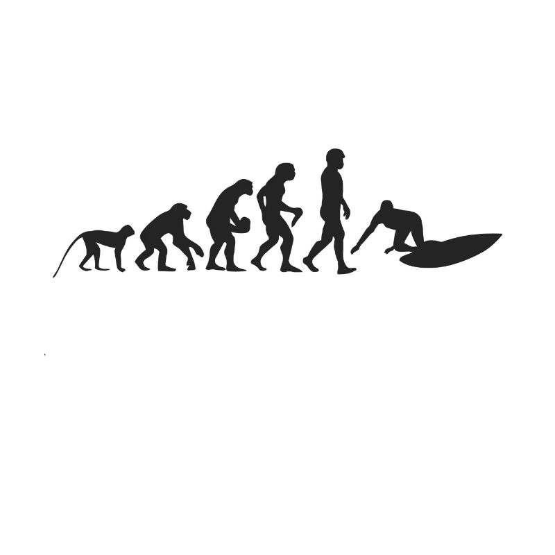 Surfen Evolution