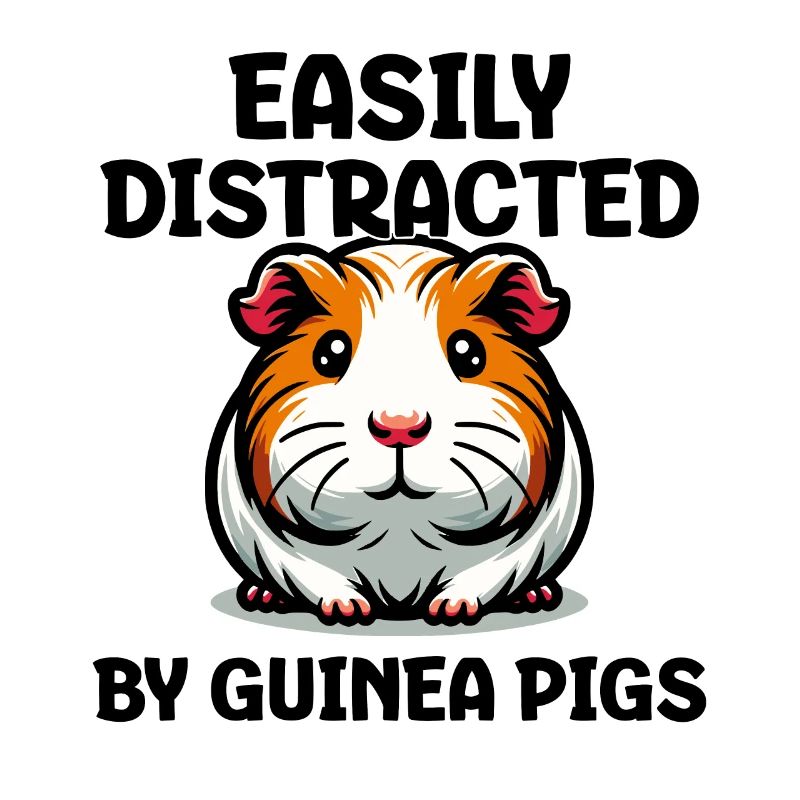 Facilement distrait par les cochons d’Inde