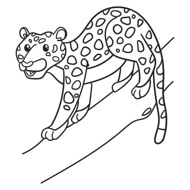 Leopard, big cat, gift, gift idea