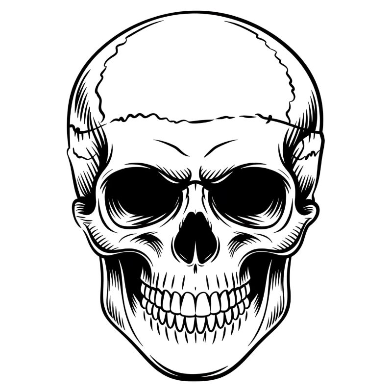 Skull