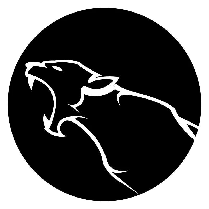 panther_2