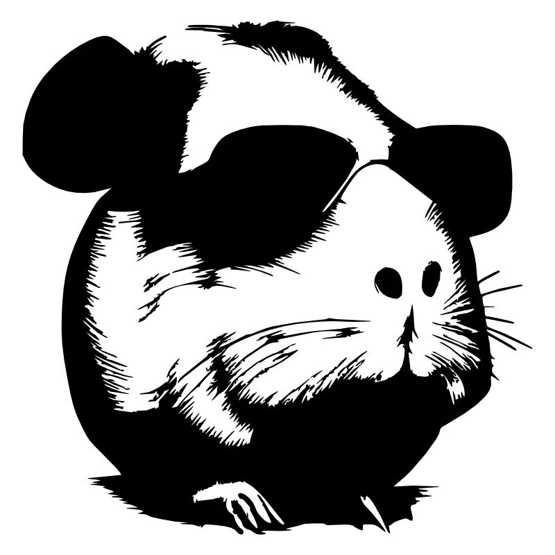 Guinea pig cool sunglasses funny vector 12