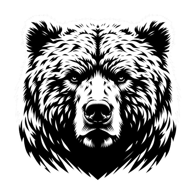 Mächtiger Bär | Powerful bear