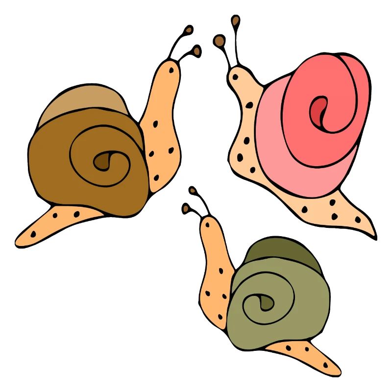 Snails