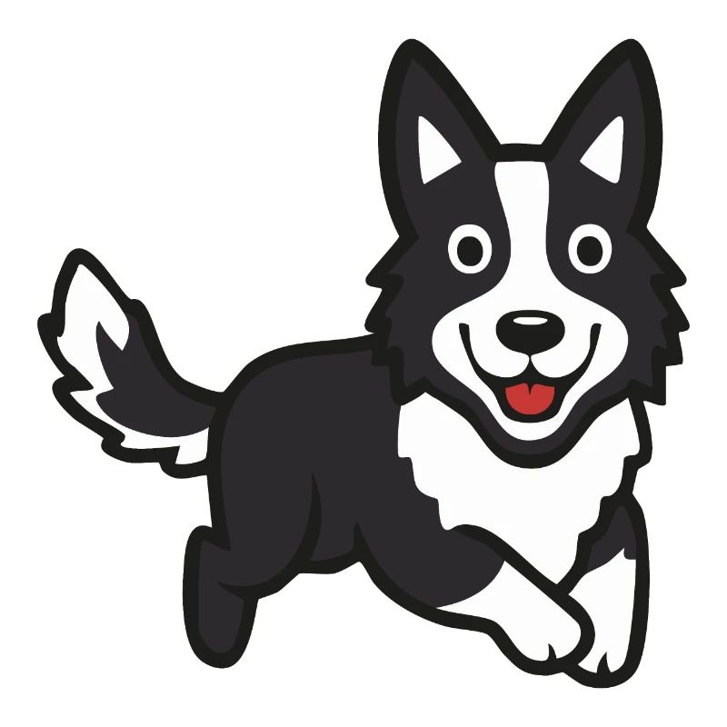 Border Collie