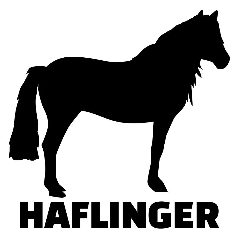 Haflinger cheval