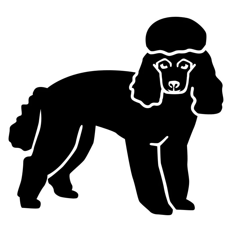 Caniche
