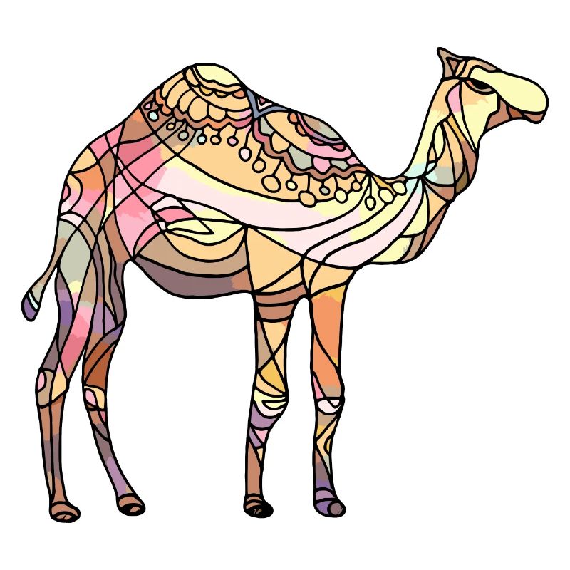 Kamel