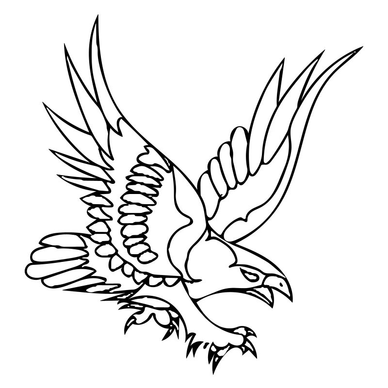 aigle