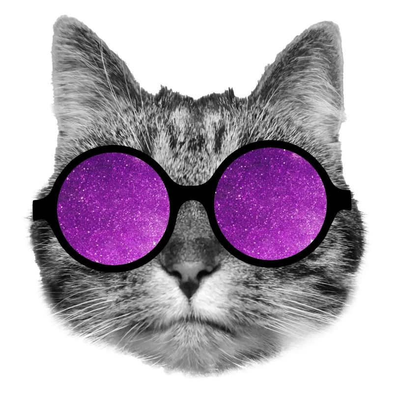 Chat de l’espace
