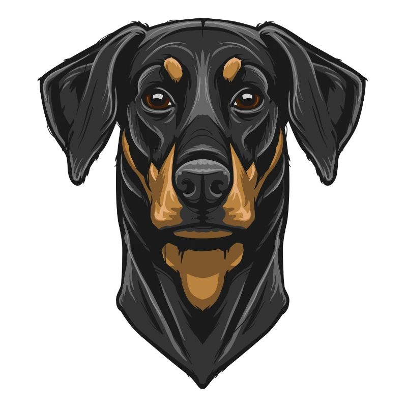 Dobermann