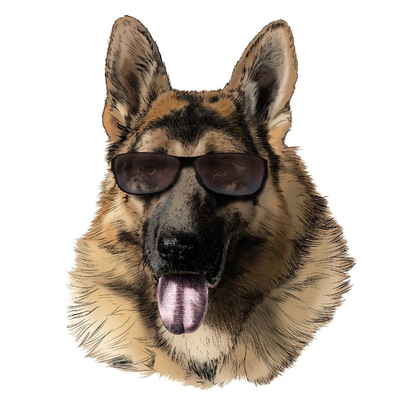Cool Deutscher Schäferhund mit Sonnenbrille