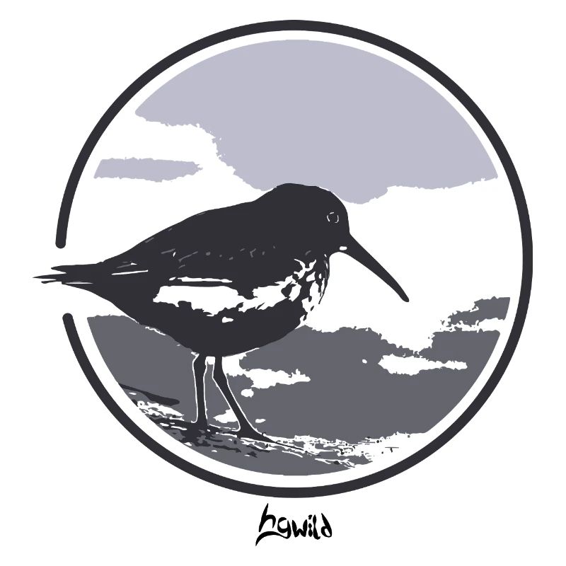 HGWILD - Bécasseau variable