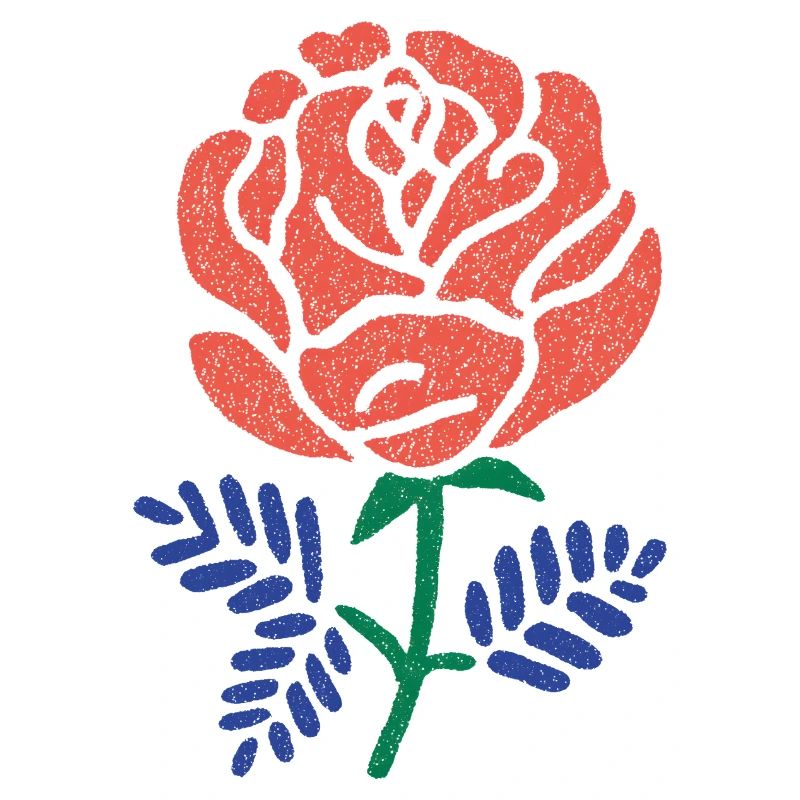 Rose corail aux feuilles bleu-vert