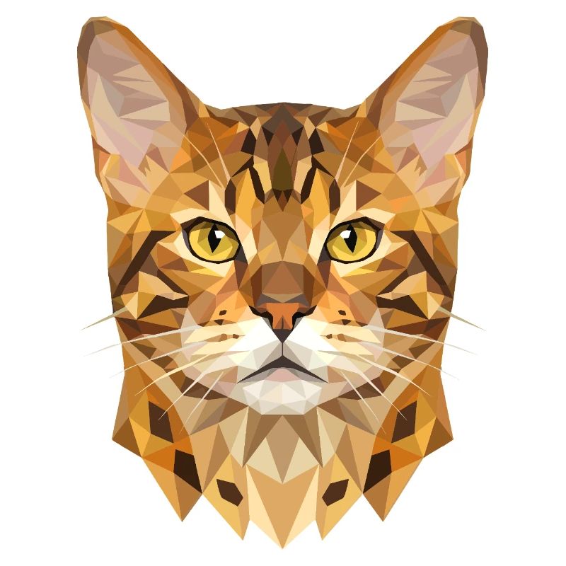 Bengal Katze Leopard Cat Leopardette Bengal Katzen