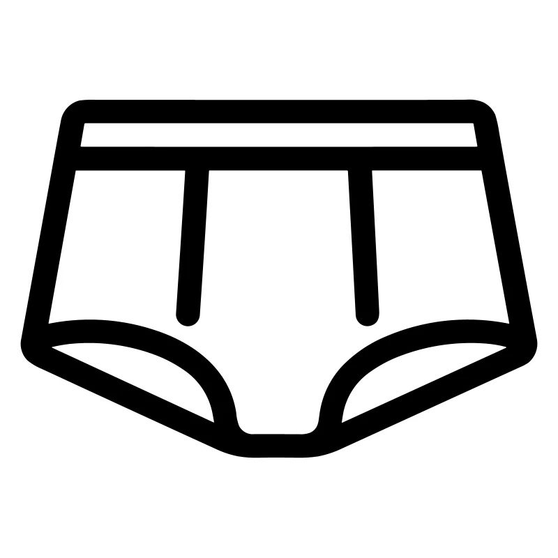 Briefs