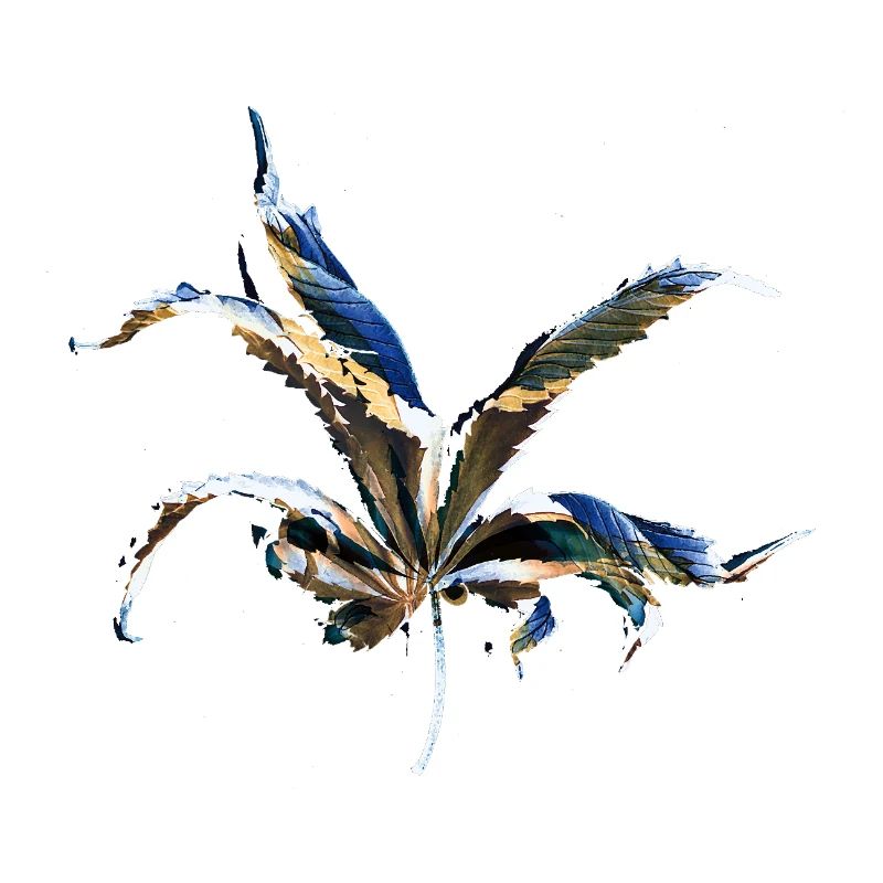 Leaf layers