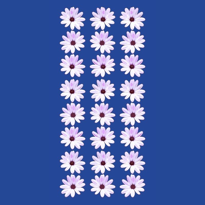 Daisies