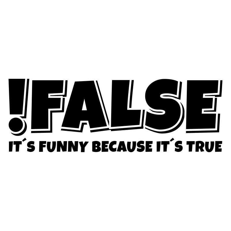 False True Programmierer Spruch