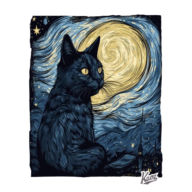 Nuit étoilée et chat noir