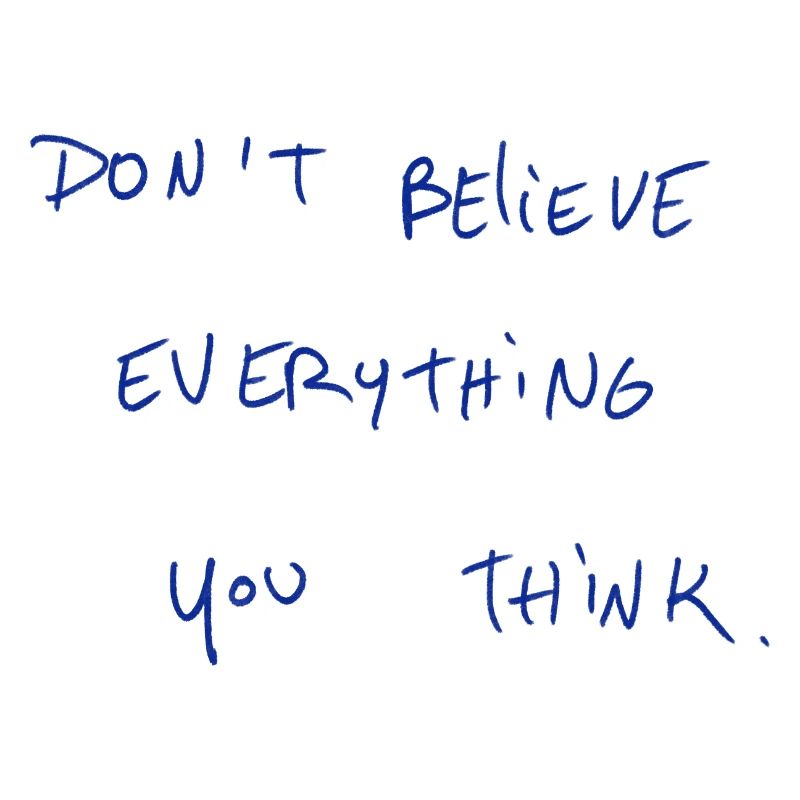 Don’t Believe Everything You Think.