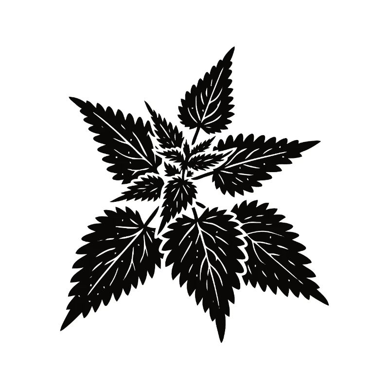 simple nettle design – wild & healing