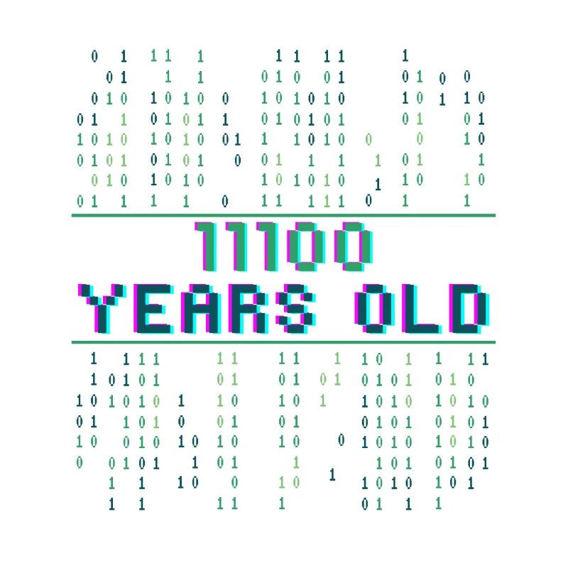 28. Geburtstag 28 Jahre alt Binärcode Coder