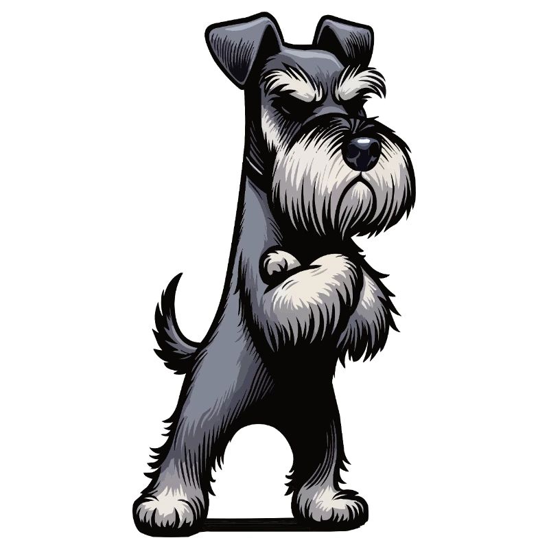Schnauzer Schnauzer géant Propriétaire du Schnauzer