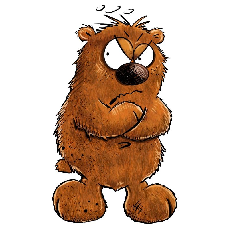 Muffeliger Brauner Bär I Nö Nein Statement