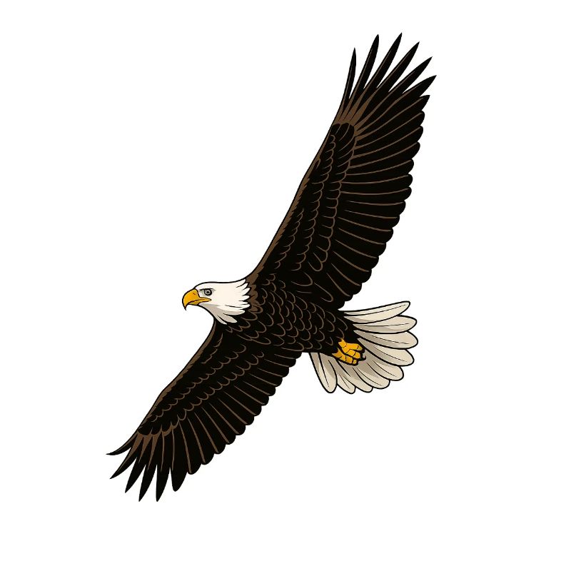 Eagle in Flight Distinct Graphics