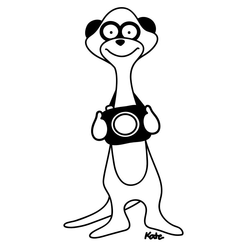 Erdmännchen