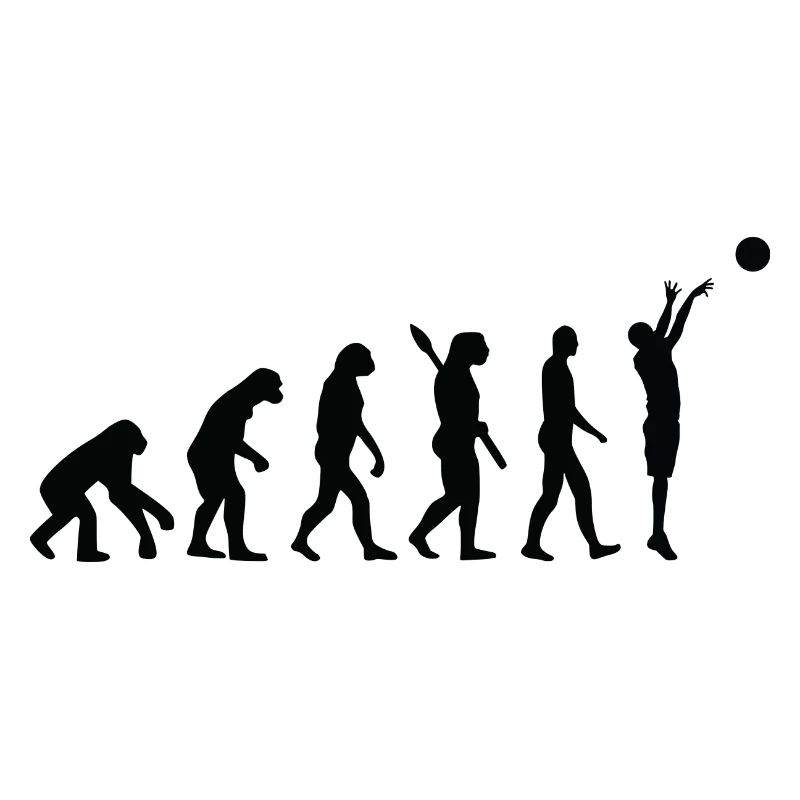 Evolution BASKETBALL b
