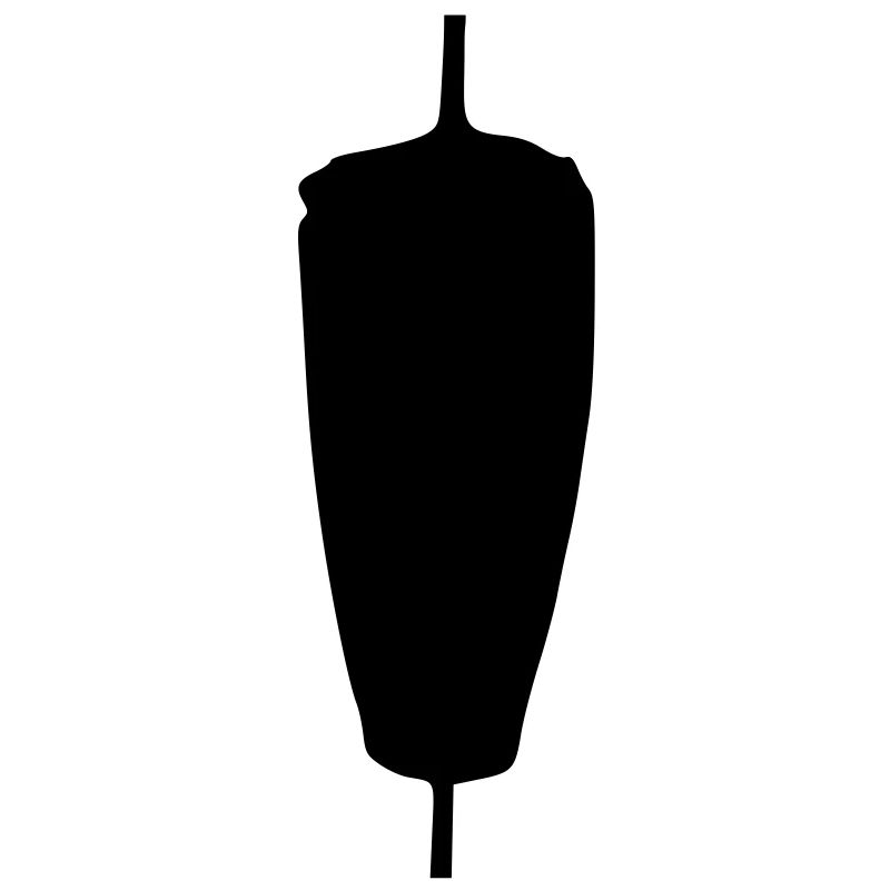 Kebab meat