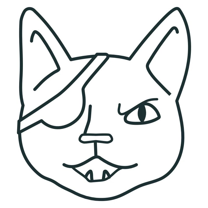 angry pirate cat face