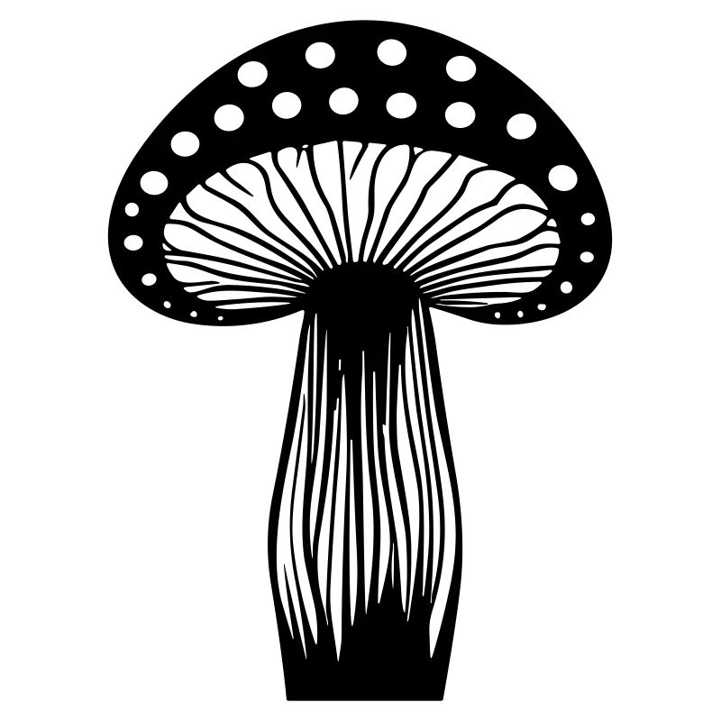 Champignon