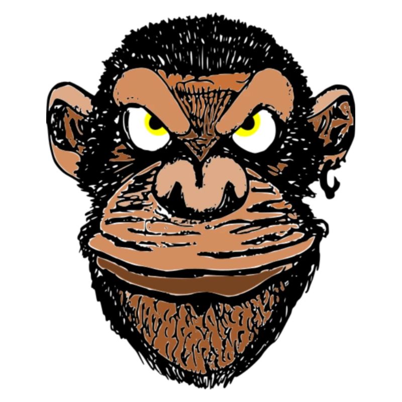 chimpanzé